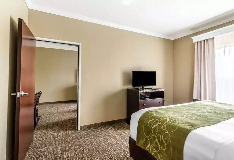 Отель Comfort Suites Houston Iah Airport Beltway 8