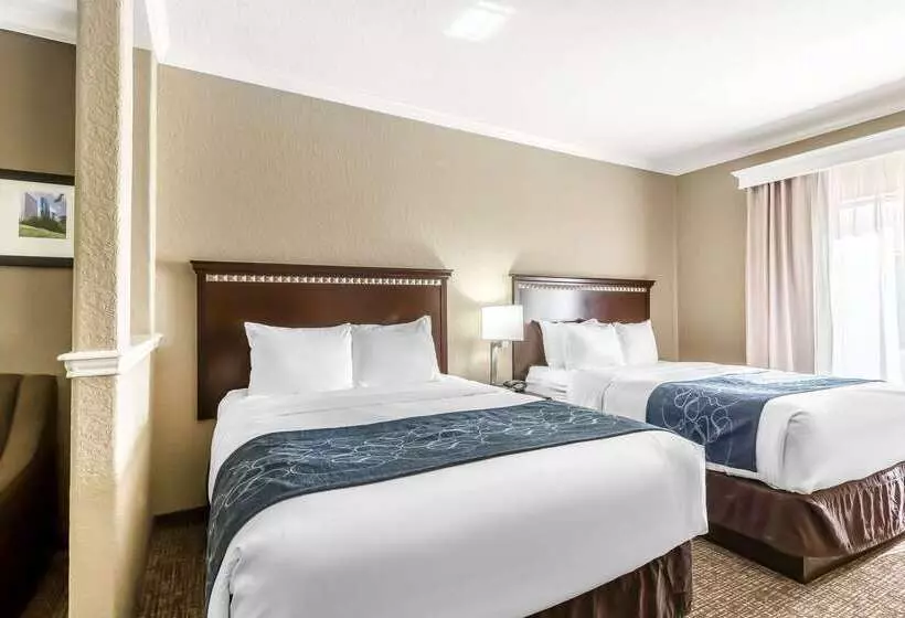Отель Comfort Suites Houston Iah Airport Beltway 8