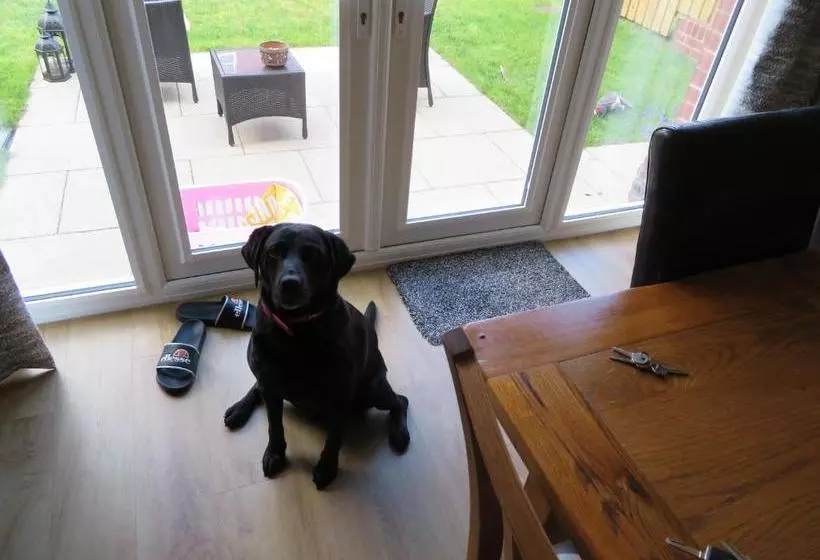 酒店 Cornerhouse Guesthouse