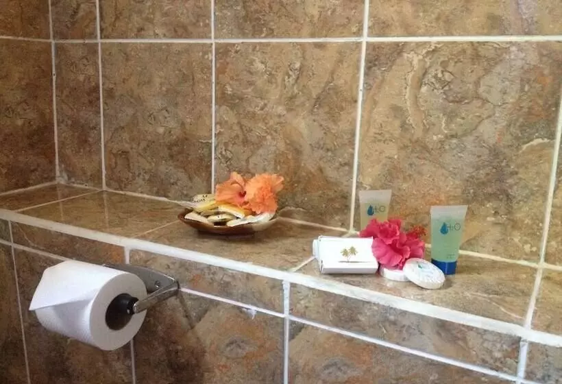 هتل Lazare Picault