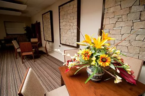 Отель Metropole