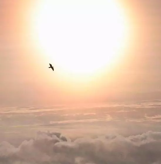 호텔 Sea Breeze Bed And Breakfast