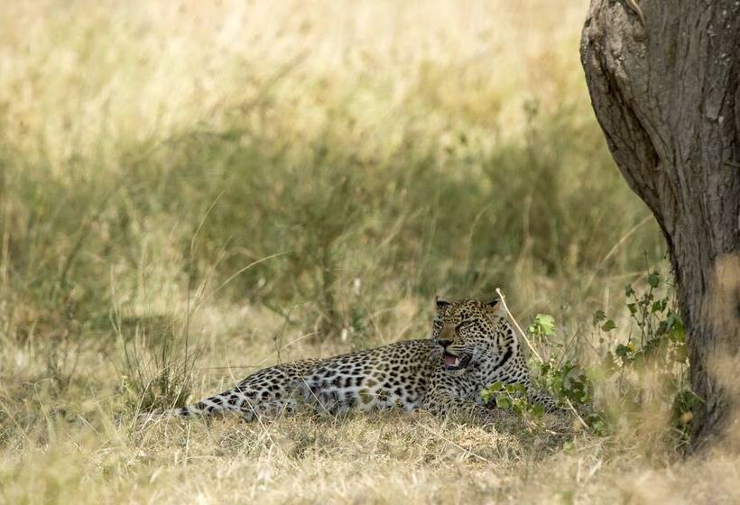 בית מלון כפרי Serengeti Serena Safari Lodge