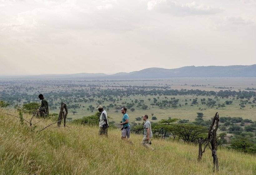 בית מלון כפרי Serengeti Serena Safari Lodge