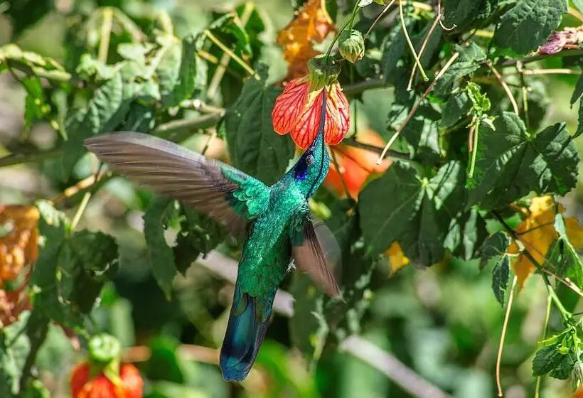 Taypikala Hotel Cusco