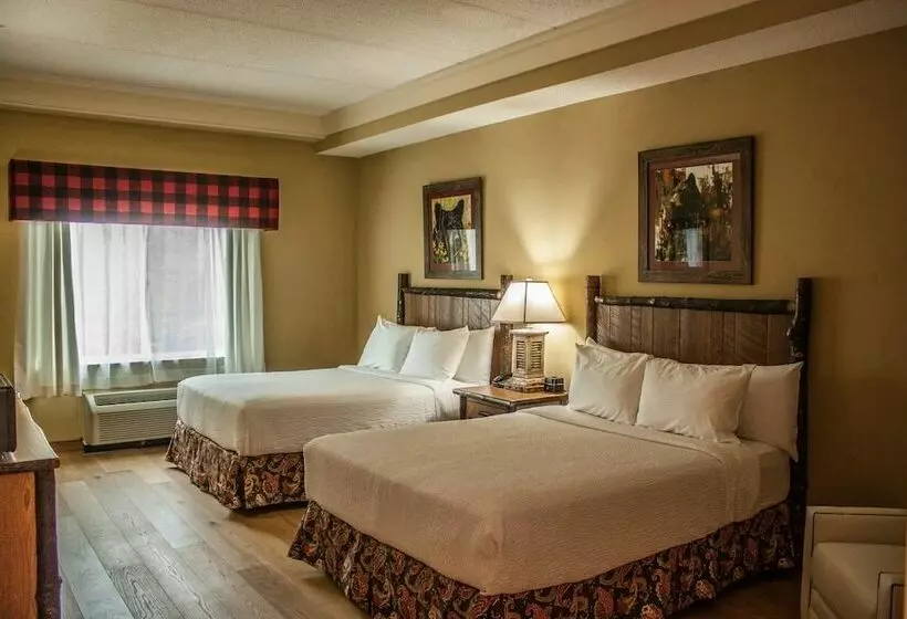 Отель The Appy Lodge