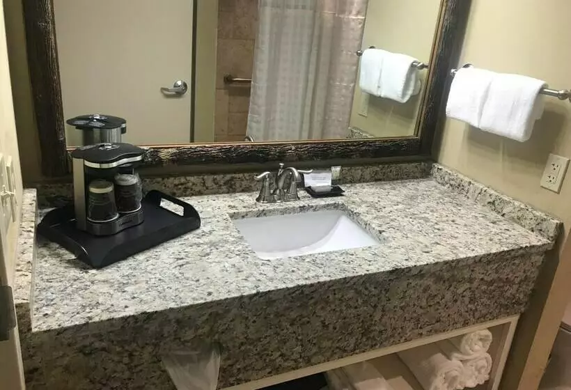 Отель The Appy Lodge