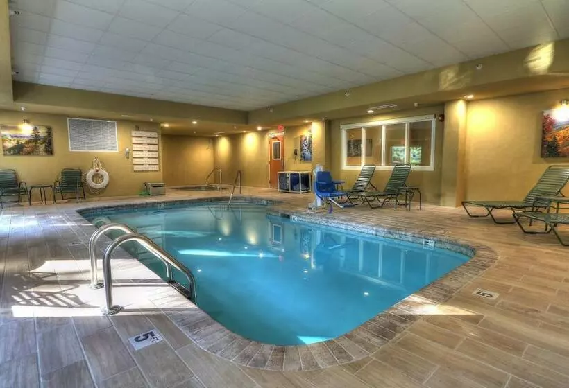 Отель The Appy Lodge