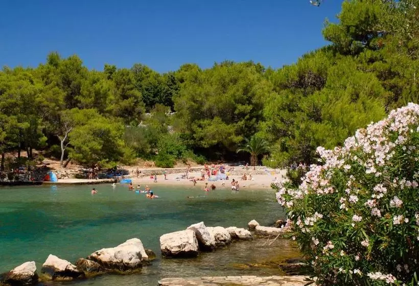 Trim Sunny Apartments By Valamar