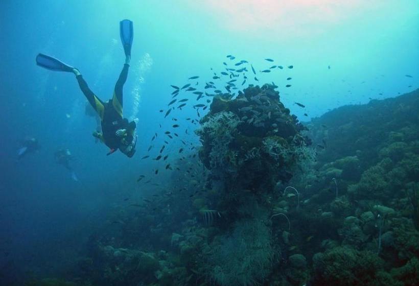 Trim Sunny Apartments By Valamar