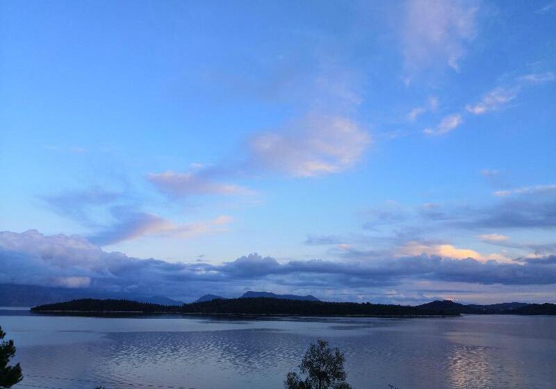 ホテル Tropicana Inn