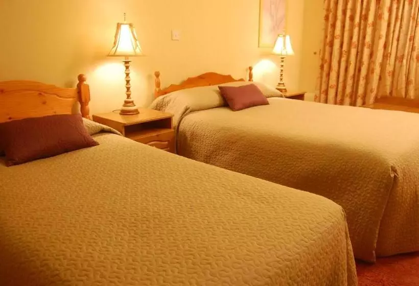 住宿加早餐 Mountain Inn