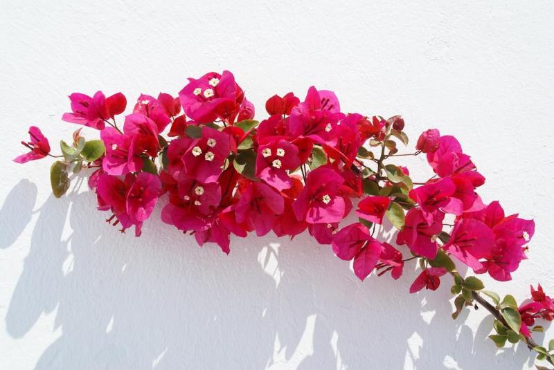 هتل Aethrio Sunset Village   Oia