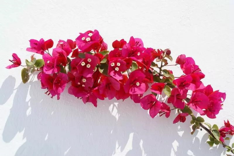 هتل Aethrio Sunset Village Oia