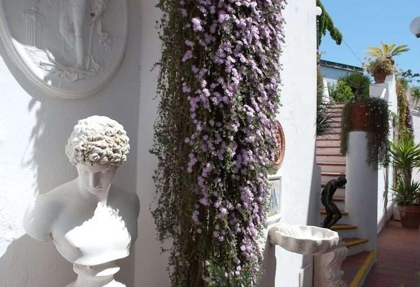 בית מלון כפרי Belsole