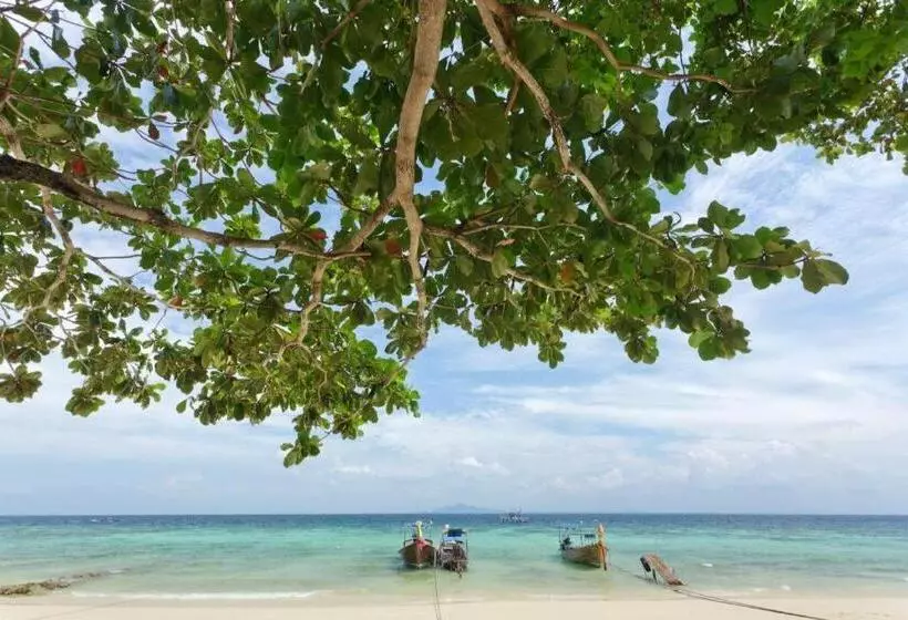 Отель Phi Phi Banyan Villa