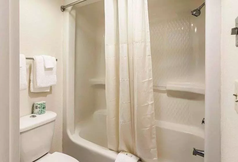 酒店 Quality Inn South Boston  Danville East