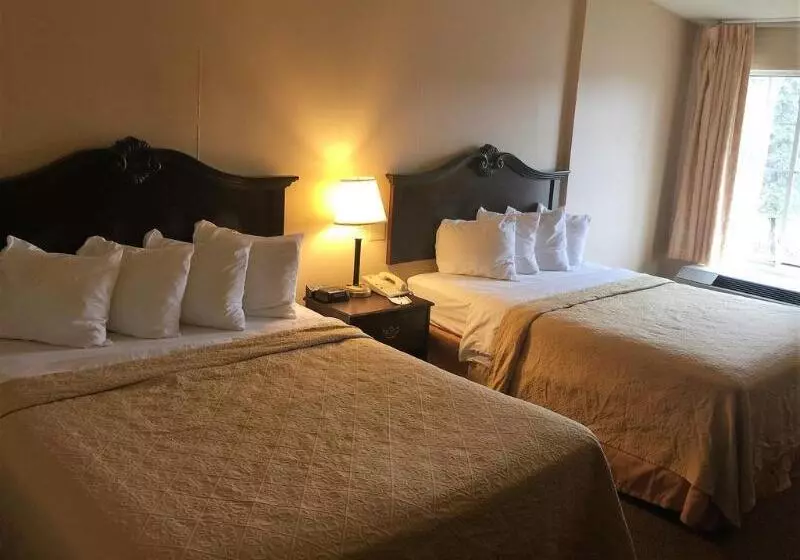 酒店 Quality Inn & Suites