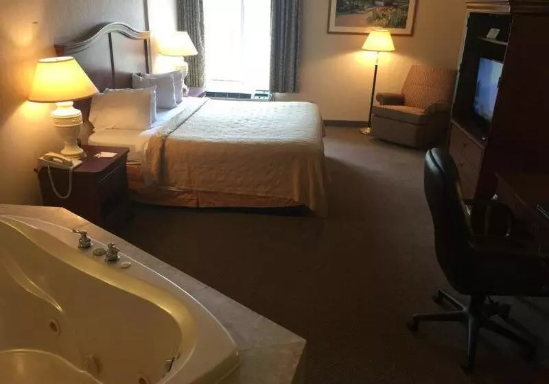 酒店 Quality Inn & Suites