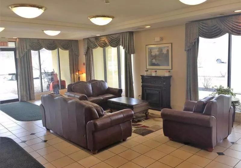 酒店 Quality Inn & Suites