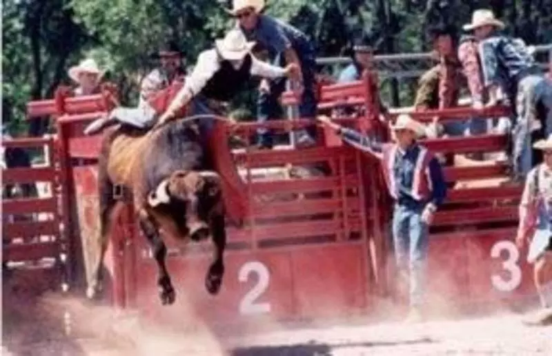 酒店 Quality Inn & Suites