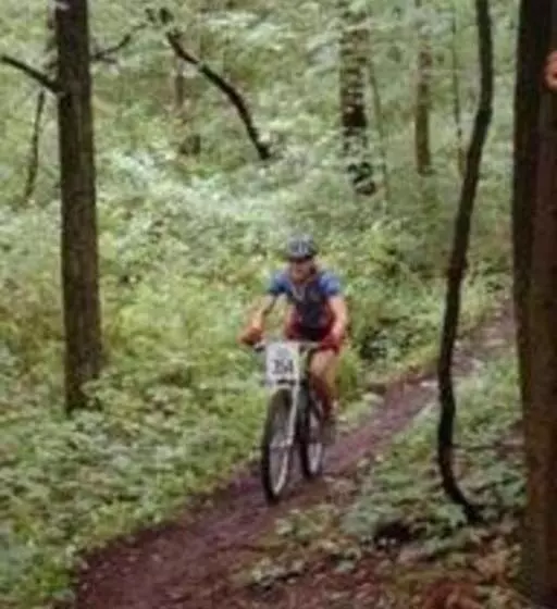 酒店 Quality Inn & Suites