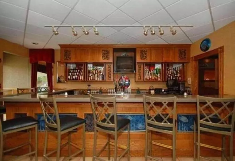 酒店 Quality Inn & Suites