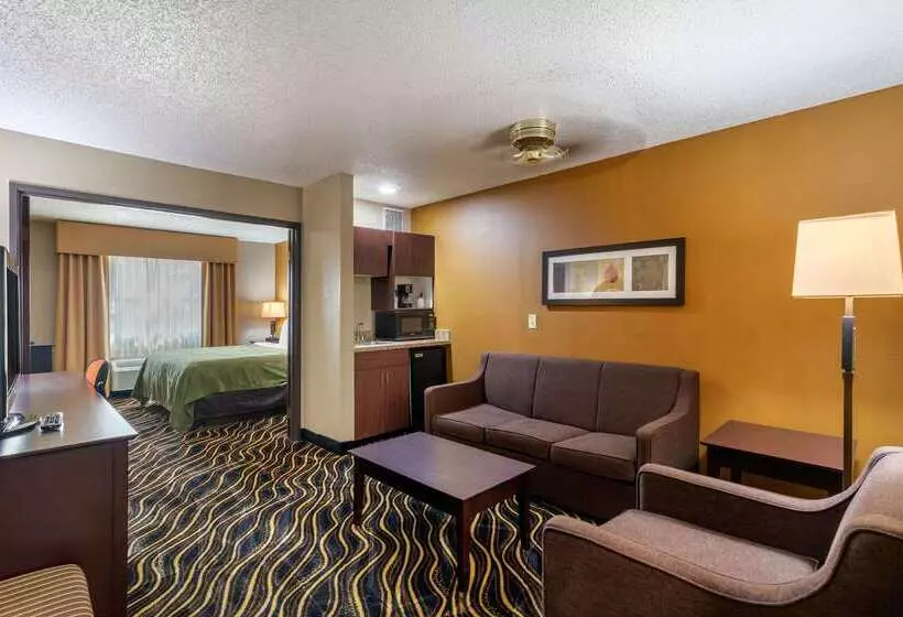 Hotel Quality Suites Addisondallas