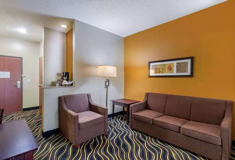Hotel Quality Suites Addisondallas