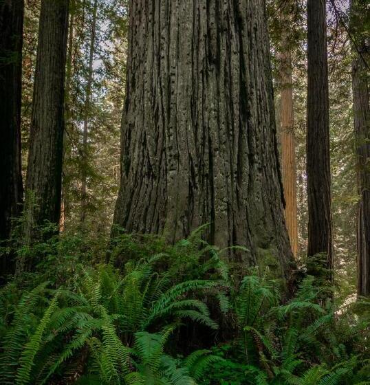 ホテル Sea Drift Inn