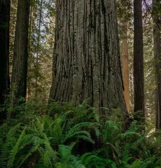 فندق Sea Drift Inn