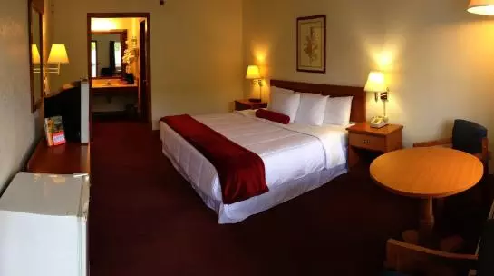 ホテル Branson Plantation Inn