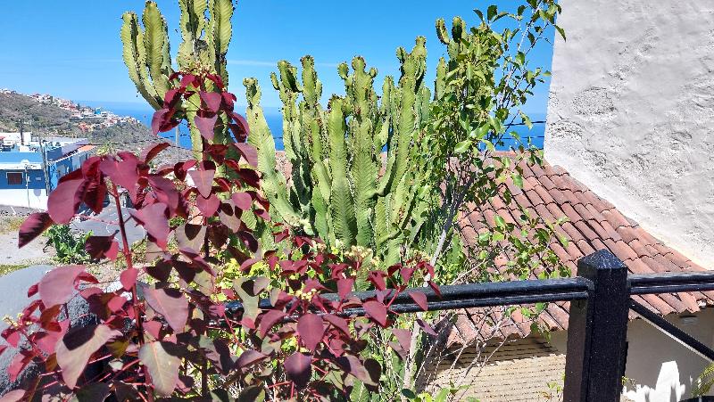 Apartamentos Monasterio De San Antonio Adults Only