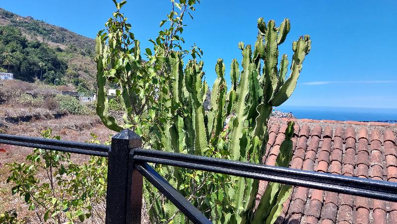 Apartamentos Monasterio De San Antonio Adults Only