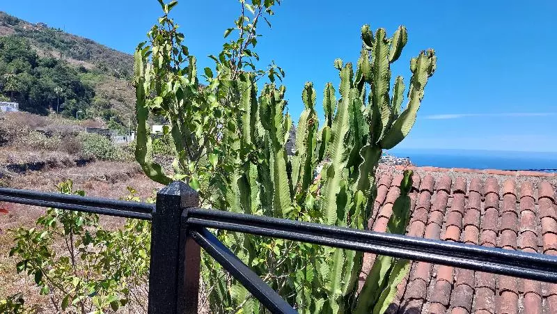 Apartamentos Monasterio De San Antonio   Adults Only