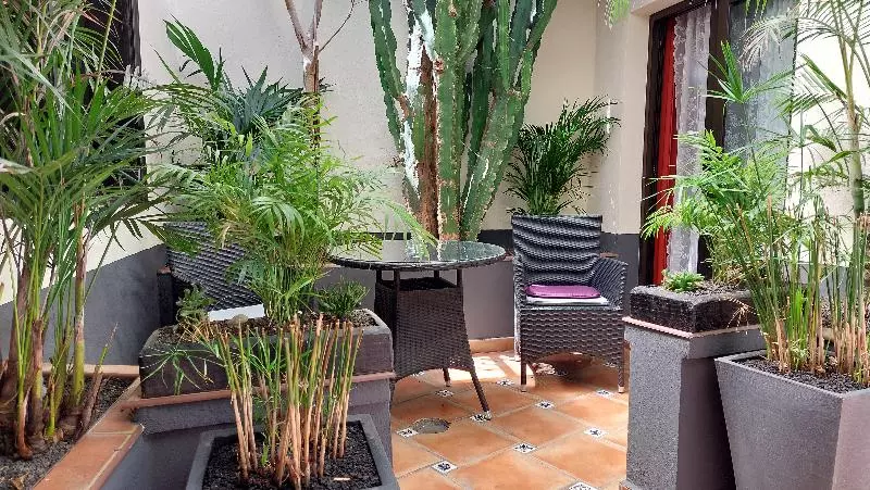 Apartamentos Monasterio De San Antonio   Adults Only