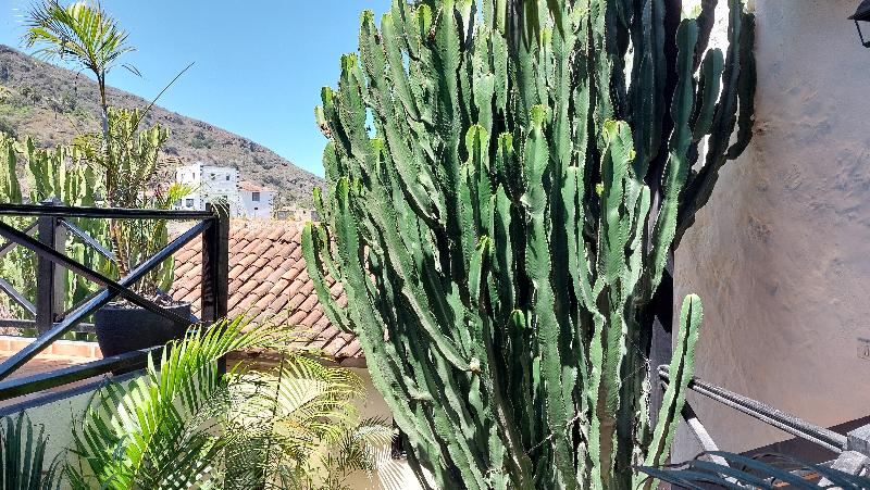 Apartamentos Monasterio De San Antonio Adults Only