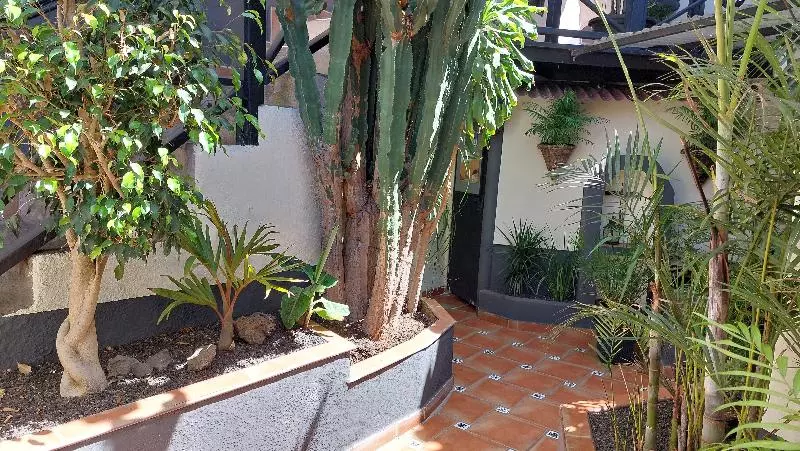 Apartamentos Monasterio De San Antonio   Adults Only
