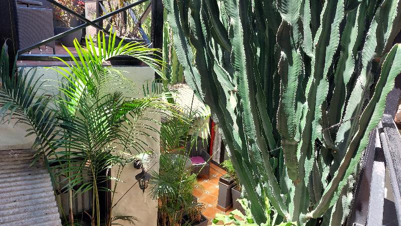 Apartamentos Monasterio De San Antonio Adults Only