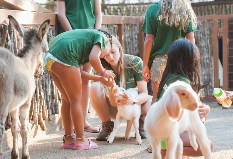 Arbatax Park Resort, Telis