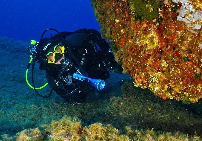 Arbatax Park Resort, Telis