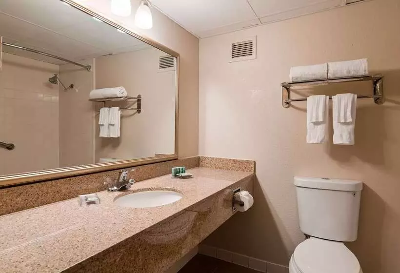 هتل Best Western Plus Lower South End