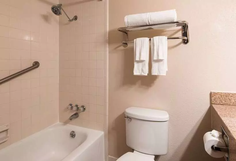 هتل Best Western Plus Lower South End