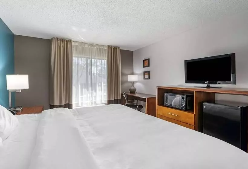 בית מלון כפרי Comfort Inn Airport