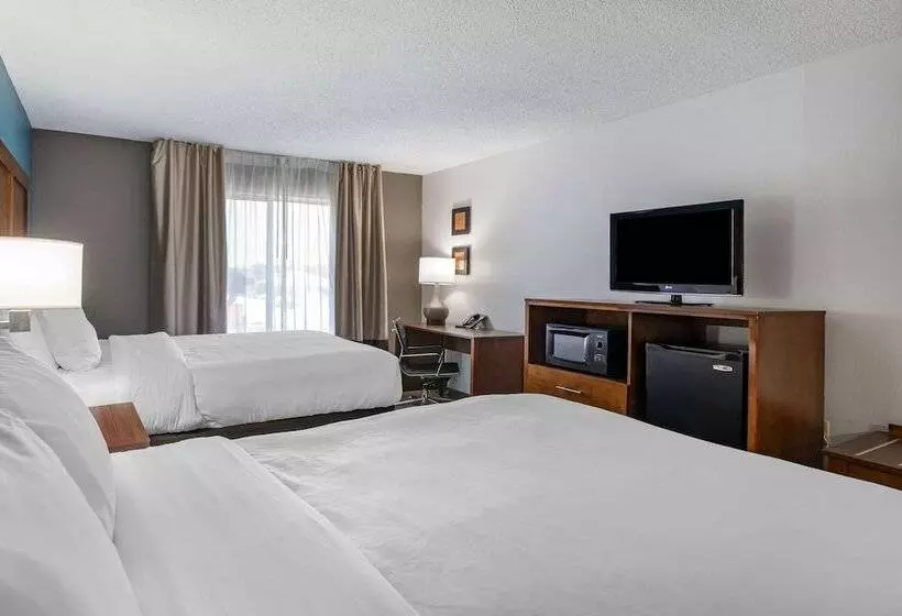 בית מלון כפרי Comfort Inn Airport