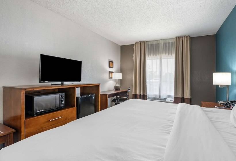 هتل Comfort Inn Airport