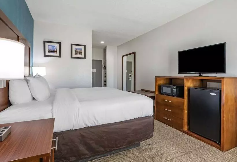 בית מלון כפרי Comfort Inn Airport