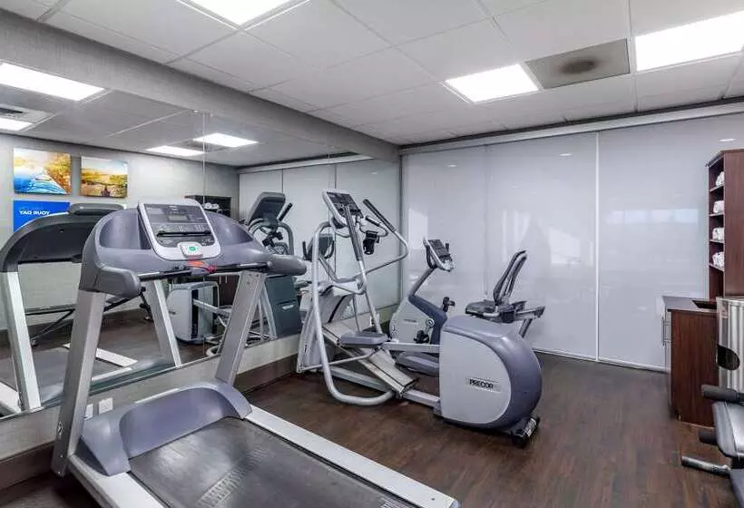 酒店 Comfort Suites Anderson Clemson