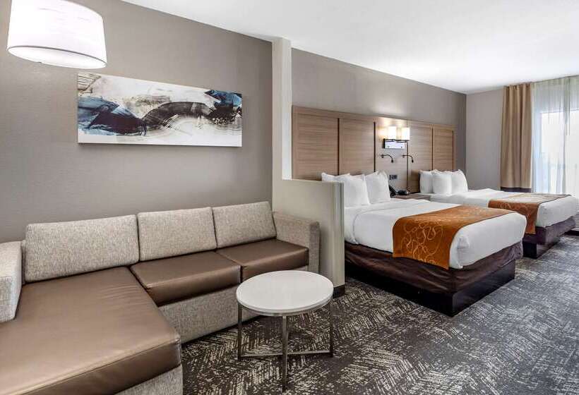 בית מלון כפרי Comfort Suites Anderson Clemson