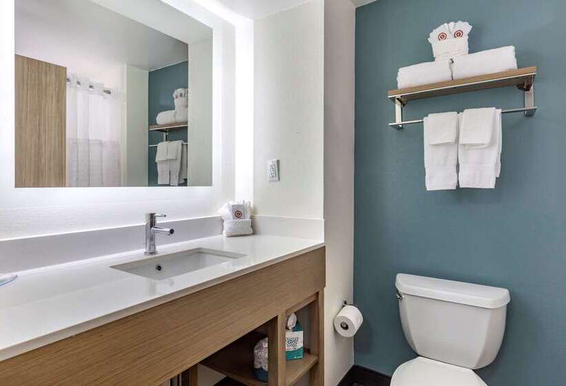 בית מלון כפרי Comfort Suites Anderson Clemson